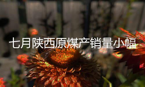 七月陜西原煤產銷量小幅下降