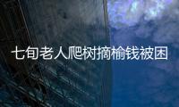七旬老人爬樹摘榆錢被困 消防緊急救援