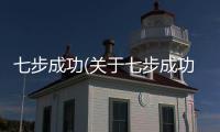 七步成功(關于七步成功簡述)