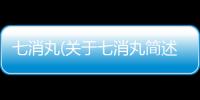 七消丸(關(guān)于七消丸簡述)