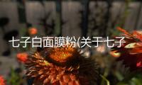 七子白面膜粉(關于七子白面膜粉簡述)