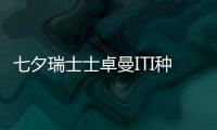 七夕瑞士士卓曼ITI種植牙及angelalign隱形牙套價格補貼開搶啦
