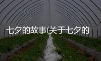 七夕的故事(關于七夕的故事簡述)