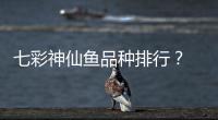 七彩神仙魚品種排行？ 七彩神仙魚品種排行