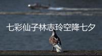七彩仙子林志玲空降七夕晚會 撩撥豎琴樂動心弦