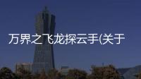 萬界之飛龍?zhí)皆剖?關(guān)于萬界之飛龍?zhí)皆剖趾?jiǎn)述)