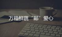 萬箱鮮蔬“郵”愛心