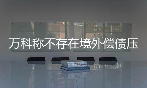萬科稱不存在境外償債壓力，暫無回購美元債計劃