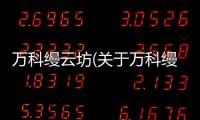 萬科縵云坊(關(guān)于萬科縵云坊簡述)