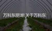 萬科東麗湖(關于萬科東麗湖簡述)