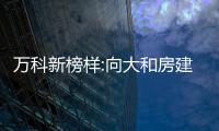 萬科新榜樣:向大和房建學什么?