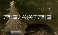 萬科溪之谷(關(guān)于萬科溪之谷簡(jiǎn)述)