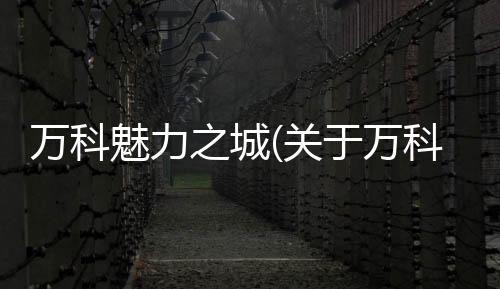 萬(wàn)科魅力之城(關(guān)于萬(wàn)科魅力之城簡(jiǎn)述)