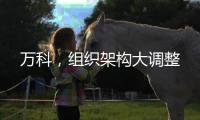 萬科，組織架構大調(diào)整