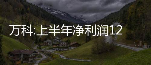 萬科:上半年凈利潤122億元,實現11.5萬套住宅平穩交付