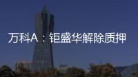 萬科A：鉅盛華解除質押5399萬股、占公司總股本0.48%