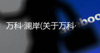 萬科·瀾岸(關于萬科·瀾岸簡述)