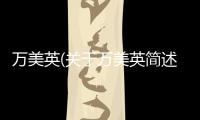 萬美英(關于萬美英簡述)