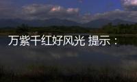 萬紫千紅好風光 提示：花卉樹木