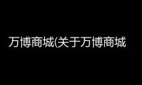 萬(wàn)博商城(關(guān)于萬(wàn)博商城簡(jiǎn)述)