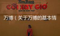 萬(wàn)博（關(guān)于萬(wàn)博的基本情況說(shuō)明介紹）
