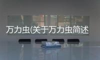 萬力蟲(關于萬力蟲簡述)