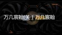 萬幾宸翰(關于萬幾宸翰簡述)