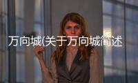 萬向城(關于萬向城簡述)