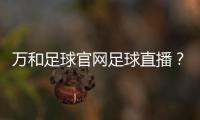 萬和足球官網足球直播？球探足球007