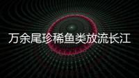 萬余尾珍稀魚類放流長江