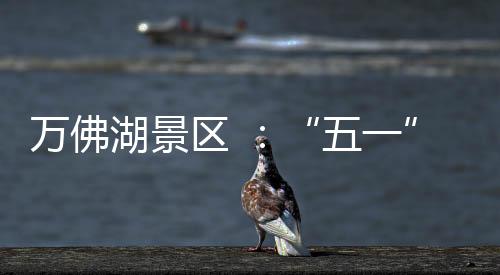 萬佛湖景區(qū) ：“五一”攬金逾千萬元