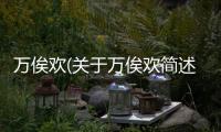 萬俟歡(關于萬俟歡簡述)