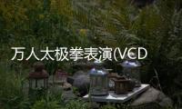 萬人太極拳表演(VCD)(關于萬人太極拳表演(VCD)簡述)
