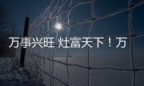 萬事興旺 灶富天下！萬事興集成灶經(jīng)銷商戰(zhàn)略峰會首站貴陽