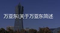 萬亞東(關于萬亞東簡述)