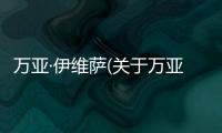 萬亞·伊維薩(關于萬亞·伊維薩簡述)