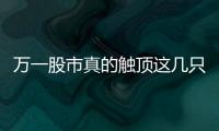 萬一股市真的觸頂這幾只股票還值得買入！