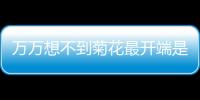 萬萬想不到菊花最開端是用來吃的……