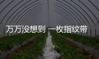 萬萬沒想到 一枚指紋帶來麥芒4精彩【數碼&手機】風尚中國網