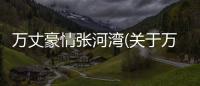 萬丈豪情張河灣(關于萬丈豪情張河灣簡述)