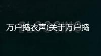 萬戶搗衣聲(關(guān)于萬戶搗衣聲簡述)