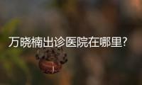萬曉楠出診醫院在哪里?萬曉楠3S人魚體雕抽脂在深圳景田醫院,地址在..