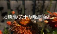 萬曉高(關于萬曉高簡述)