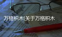 萬(wàn)格積木(關(guān)于萬(wàn)格積木簡(jiǎn)述)