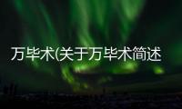 萬畢術(關于萬畢術簡述)