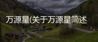 萬源星(關(guān)于萬源星簡述)