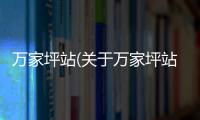 萬家坪站(關(guān)于萬家坪站簡述)