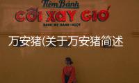 萬安豬(關于萬安豬簡述)