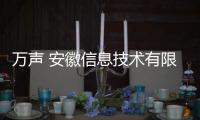 萬(wàn)聲 安徽信息技術(shù)有限公司(關(guān)于萬(wàn)聲 安徽信息技術(shù)有限公司簡(jiǎn)述)