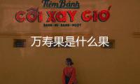 萬壽果是什么果